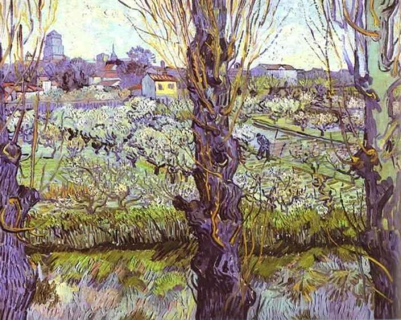 1889 vue d'arles.jpg